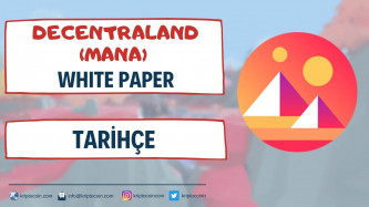 Decentraland (MANA) White Paper 03 - Tarihçe