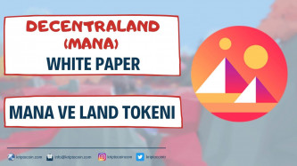 Decentraland (MANA) White Paper 14 - MANA ve LAND Tokenı