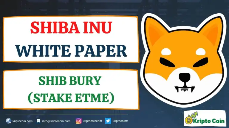 SHIBA INU White Paper 12 - Shib Bury (Stake Etme)