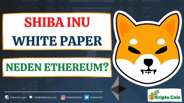 SHIBA INU White Paper 04 - Neden Ethereum?